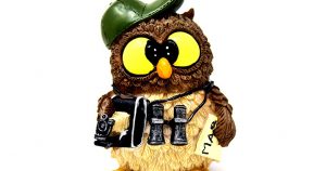 owl with map and binoculars