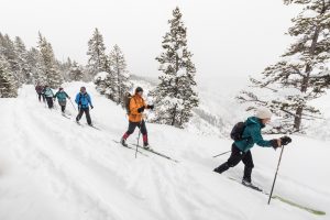 People Skiing in the snow